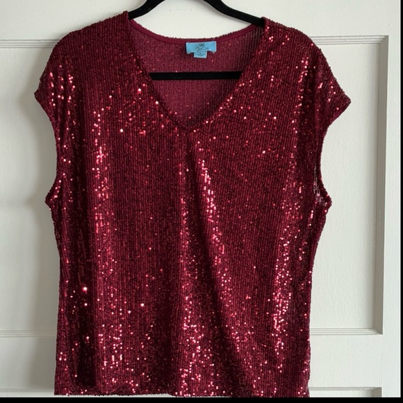 Rich Red Sequin V-Neck Top (L/XL) - Picture 7 of 7